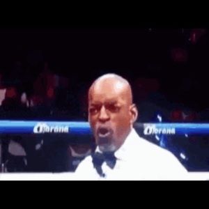 Meet your Posher, Maya